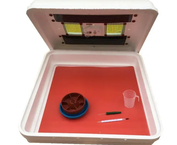 Брудер (ясла) Рябушка для курчат- фото № 1