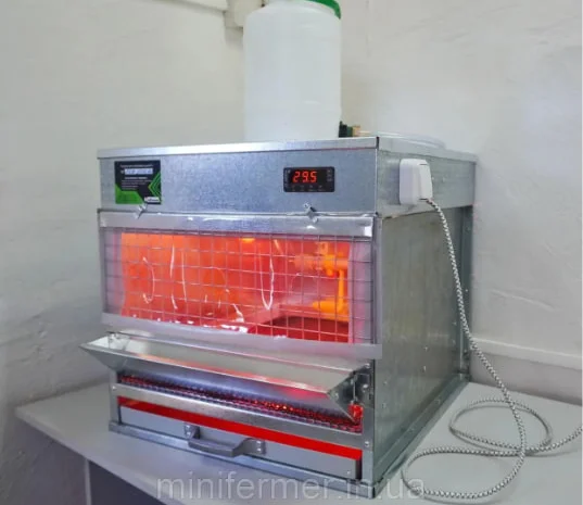 МІНІ БРУДЕР MINIFERMER ДЛЯ ОБІГРІВАННЯ ПТАШЕНЯТ- фото № 1