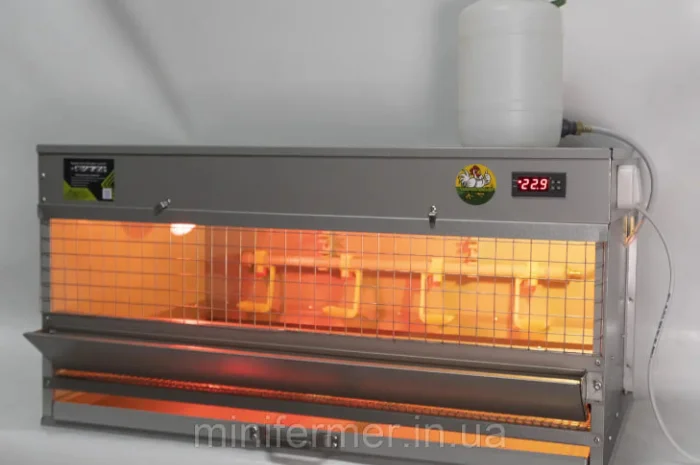 БРУДЕР ДЛЯ КУРЧАТ MINIFERMER СТАНДАРТ- фото № 1