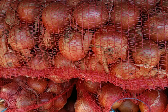 Продам лук- фото № 1