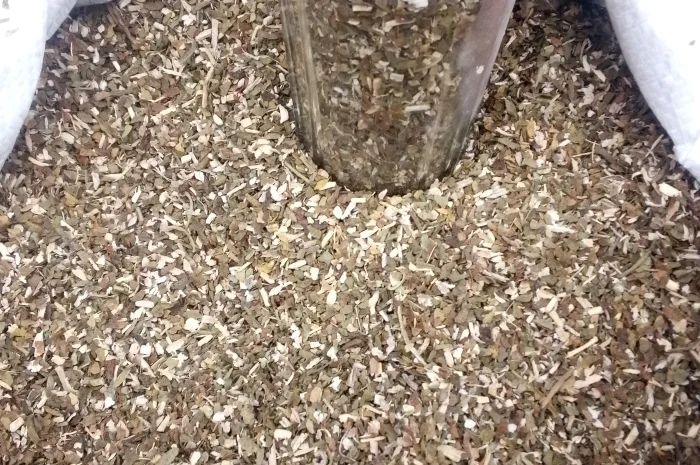 Махорка- фото № 2