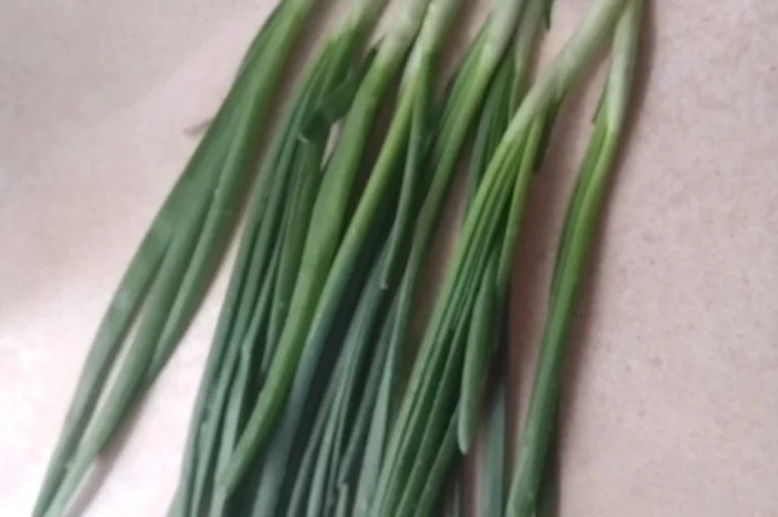 Зелена цибуля перо- фото № 1