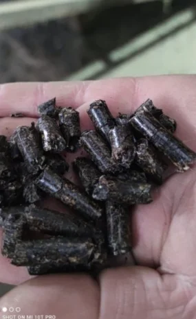 Продам топливные гранулы из подсолнечника- фото № 1