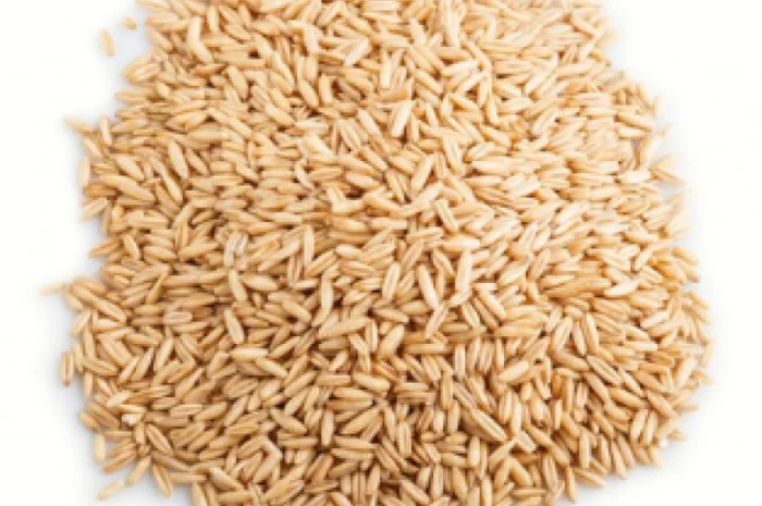 Насіння вівса. Кормовий овес- фото № 1