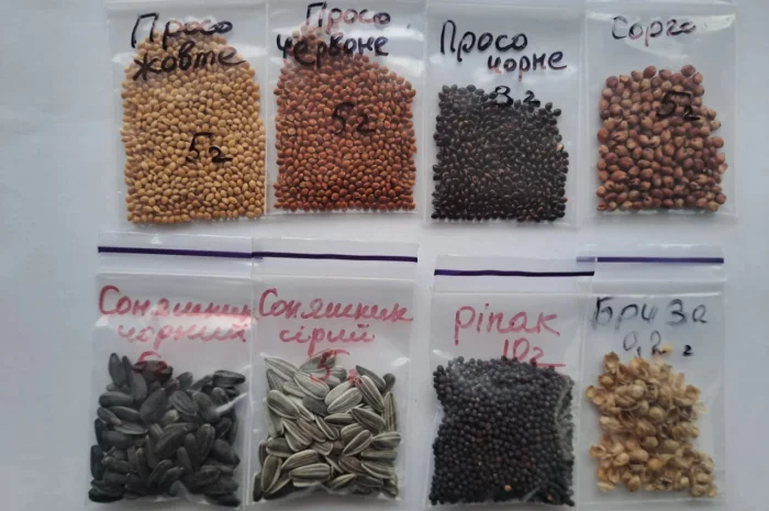 Просо,сорго,соняшник,ріпак,бриза- фото № 1