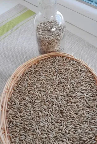 Жито 10 кілограм- фото № 1