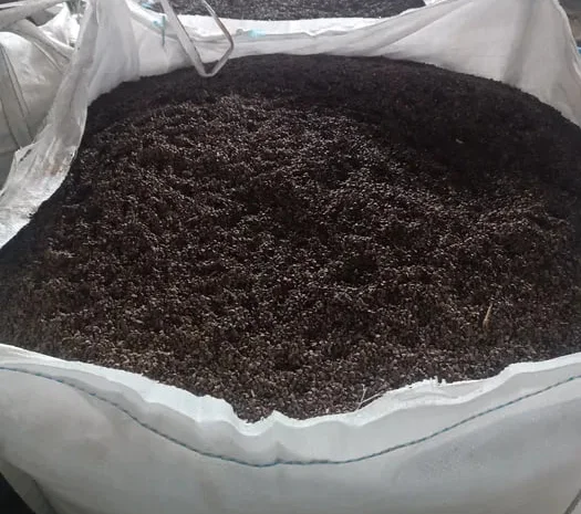 Продаж насіння гречки сорту Пенні- фото № 1