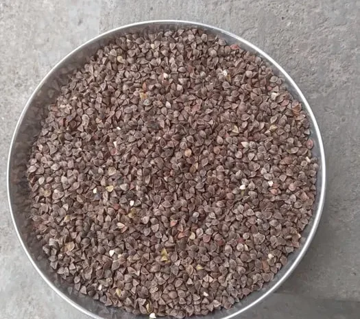 Гречка органічна для насіння та споживання- фото № 1