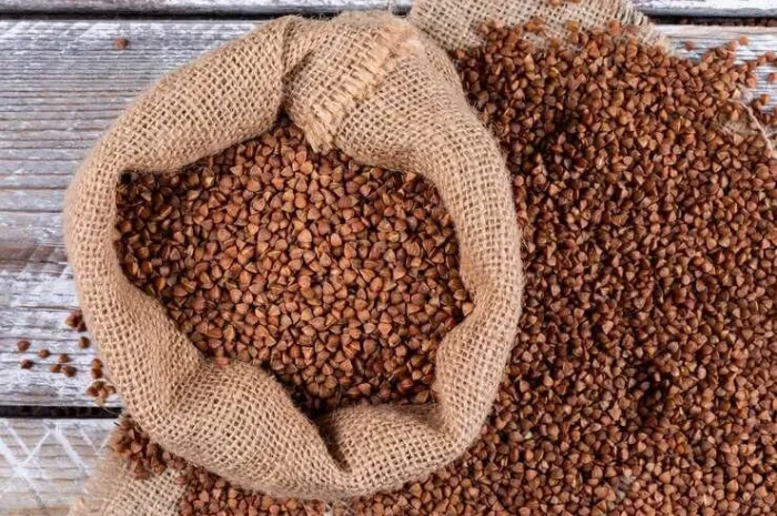 Продаж насіння гречки Син-03- фото № 1