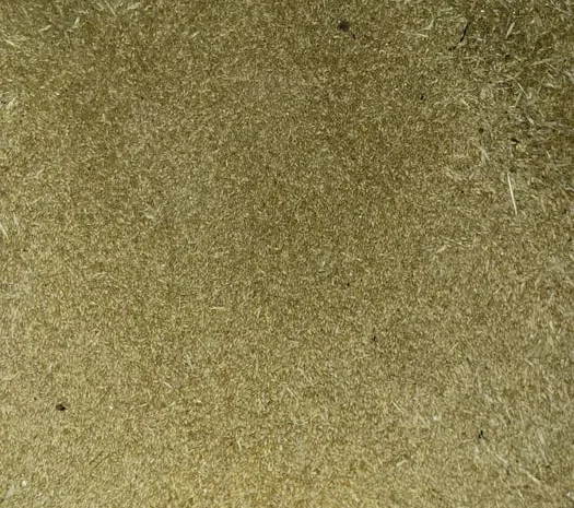 Ячмінь ярий нового врожаю- фото № 1