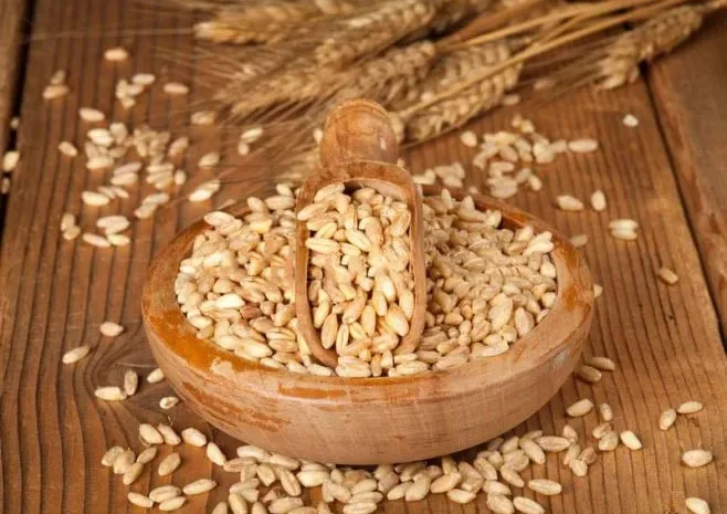 Ячмінь пивоварний- фото № 1