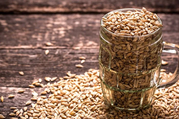 Закупка ячменя пивоварного у сельхозпроизводителей- фото № 1