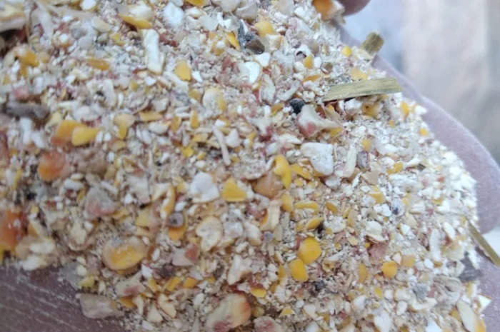 Продажа отходов кукурузы- фото № 1