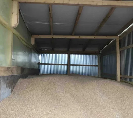 Продам пшеницю.- фото № 1