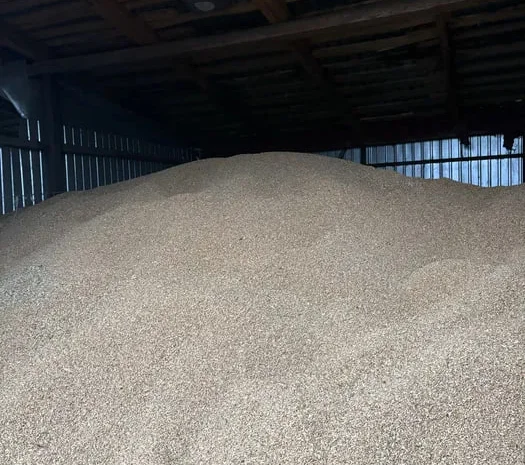 Продам фуражну пшеницю- фото № 1