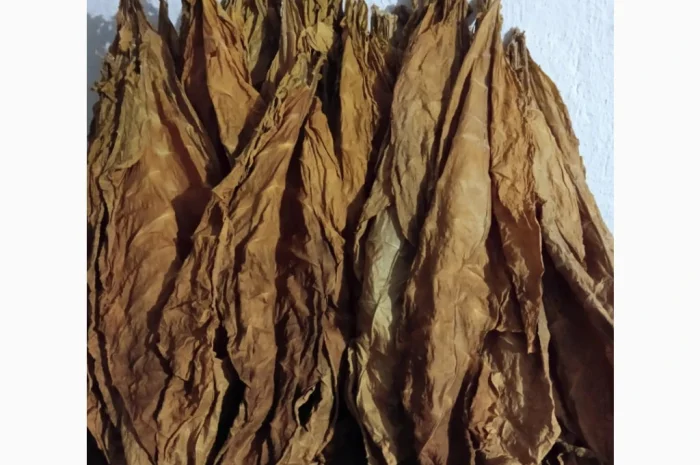 Продам листя тютюну, Тернопільська обл.- фото № 1