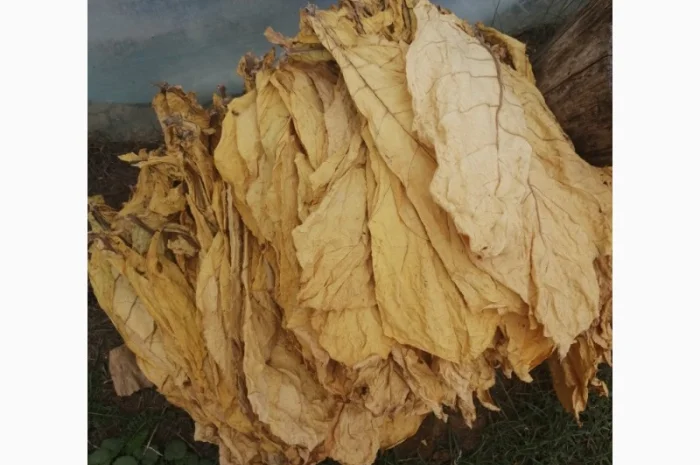 Продам лист тютюну, Хмельницька обл.- фото № 1