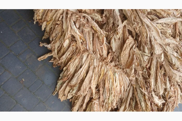 Продам лист тютюну, Тернопільська обл- фото № 1