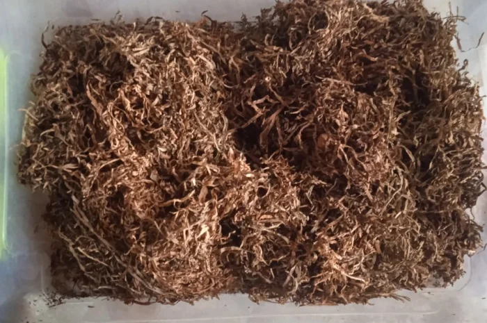 Продам- фото № 1