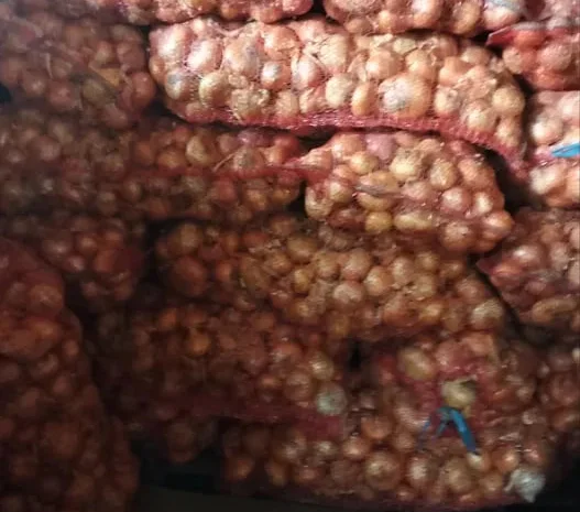 Продажа цибулі сорту Штутгарт на перо- фото № 1