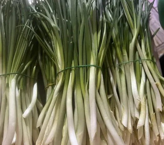 Зелена цибуля перо на продажу- фото № 1