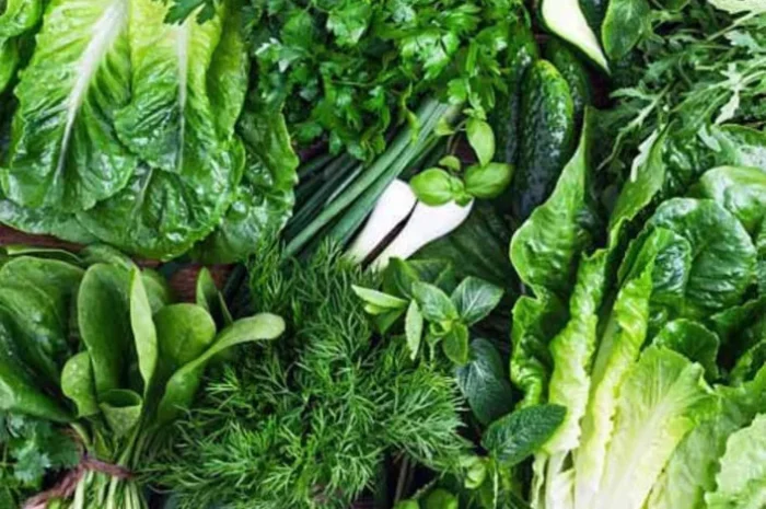 Свежая зелень: укроп, петрушка, шпинат и салаты- фото № 1