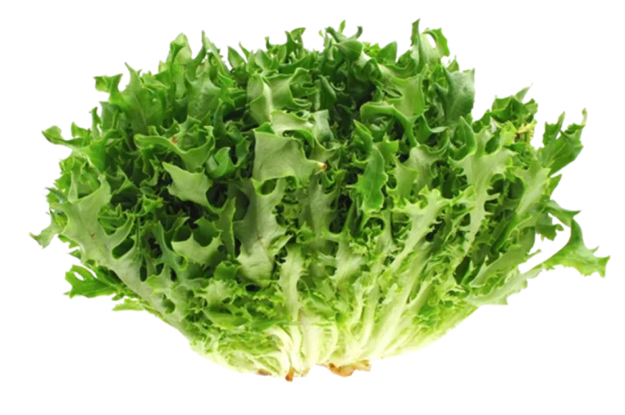 Салат Фризе (1 кг) на продаж- фото № 1