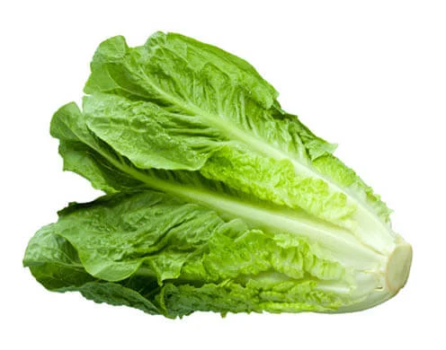 Салат Ромэн імпорт 1 кг- фото № 1