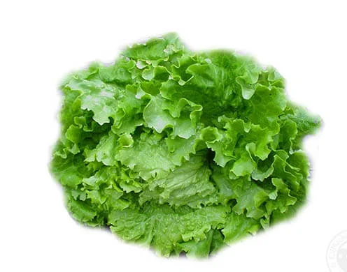 Салат Дубок Зелений 1 кг- фото № 1