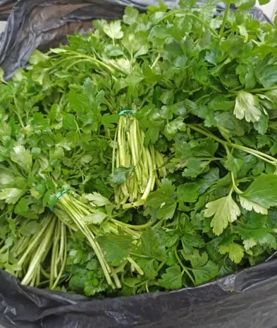 Зелень оптом і в роздріб в Ізмаїлі- фото № 1