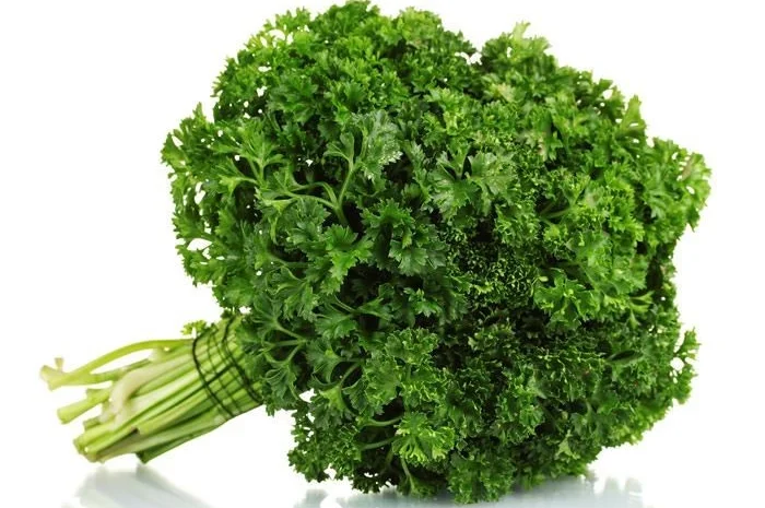 Кучерява петрушка 100 г на продаж- фото № 1