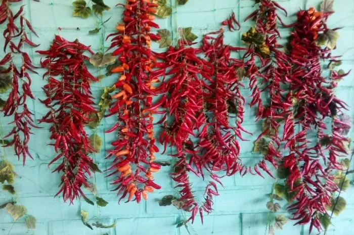 Продаю сушений перець Міні Чилі- фото № 1