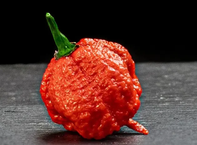 Гострий перець Carolina Reaper на продаж- фото № 1