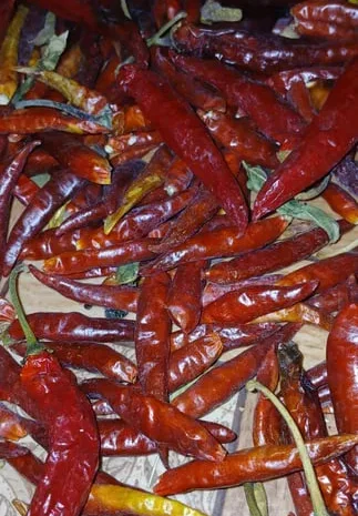 Перец красный острый сушеный для кулинарии- фото № 1