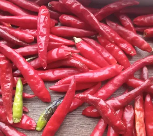 Продам гострий сушений перець 100 грам- фото № 1