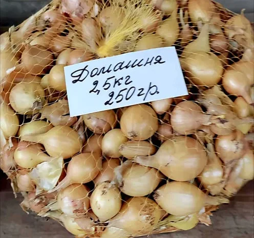 Продажа озимой цибулі Домашня – 2,5 кг- фото № 1