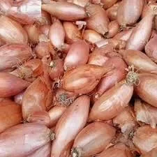 Продажа домашней луковицы и чеснока- фото № 1