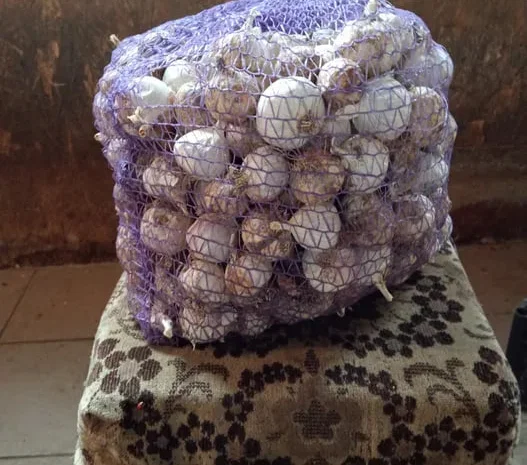 Чеснок однозубка на посадку, калибр 2-3-3- фото № 1