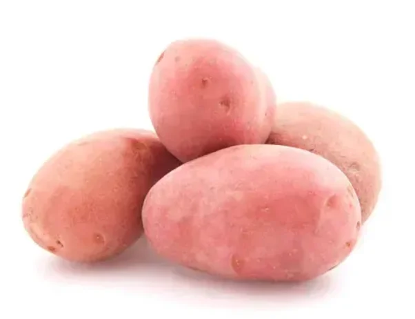 Продаж Насіннєвої картоплі Беллароза 2,5 кг- фото № 1