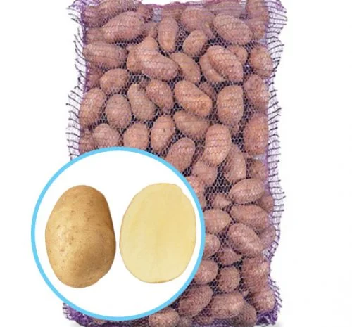 Насіннєва картопля Арізона на посадку- фото № 1