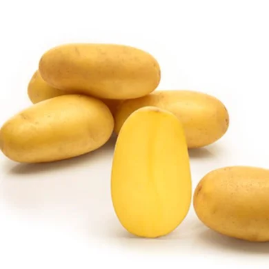 Продаж картоплі сорту Саншайн- фото № 1