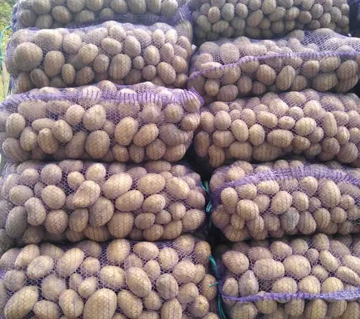 Куплю картоплю Мелоді на посадку- фото № 1