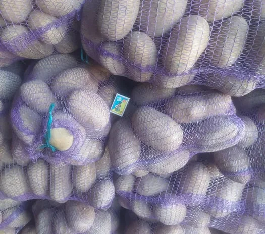 Продаж насіннєвої картоплі сортів Арізона, Мелоді, Бела Роса- фото № 1