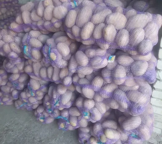 Продаж насіннєвої картоплі сортів Арізона, Мелоді, Бела Роса- фото № 2