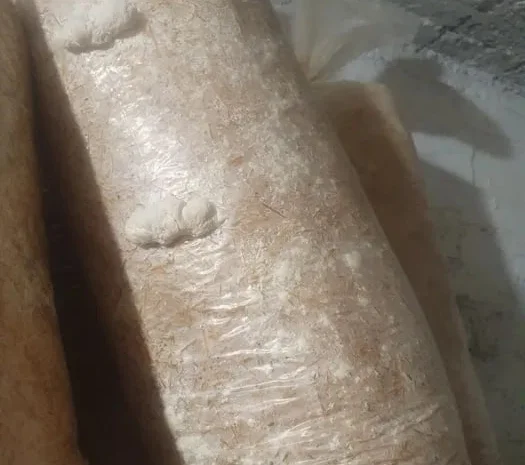 Грибні блоки вешенки на продаж- фото № 1