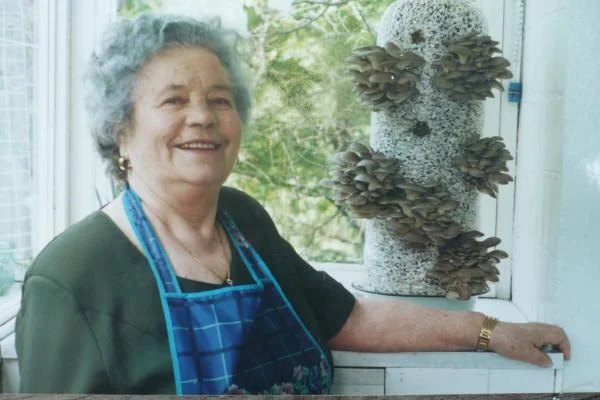 Блоки вешенки для грибів- фото № 1