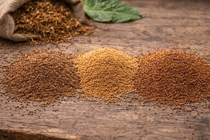 Test1- фото № 1