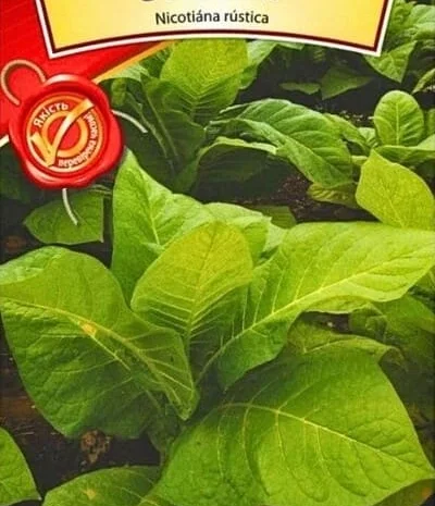 Насіння махорки 0,1 г Агровест- фото № 1