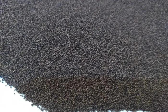 Насіння тютюну берлей вірджінія меленіум- фото № 1