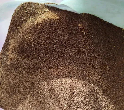 Продам насіння тютюну.- фото № 1